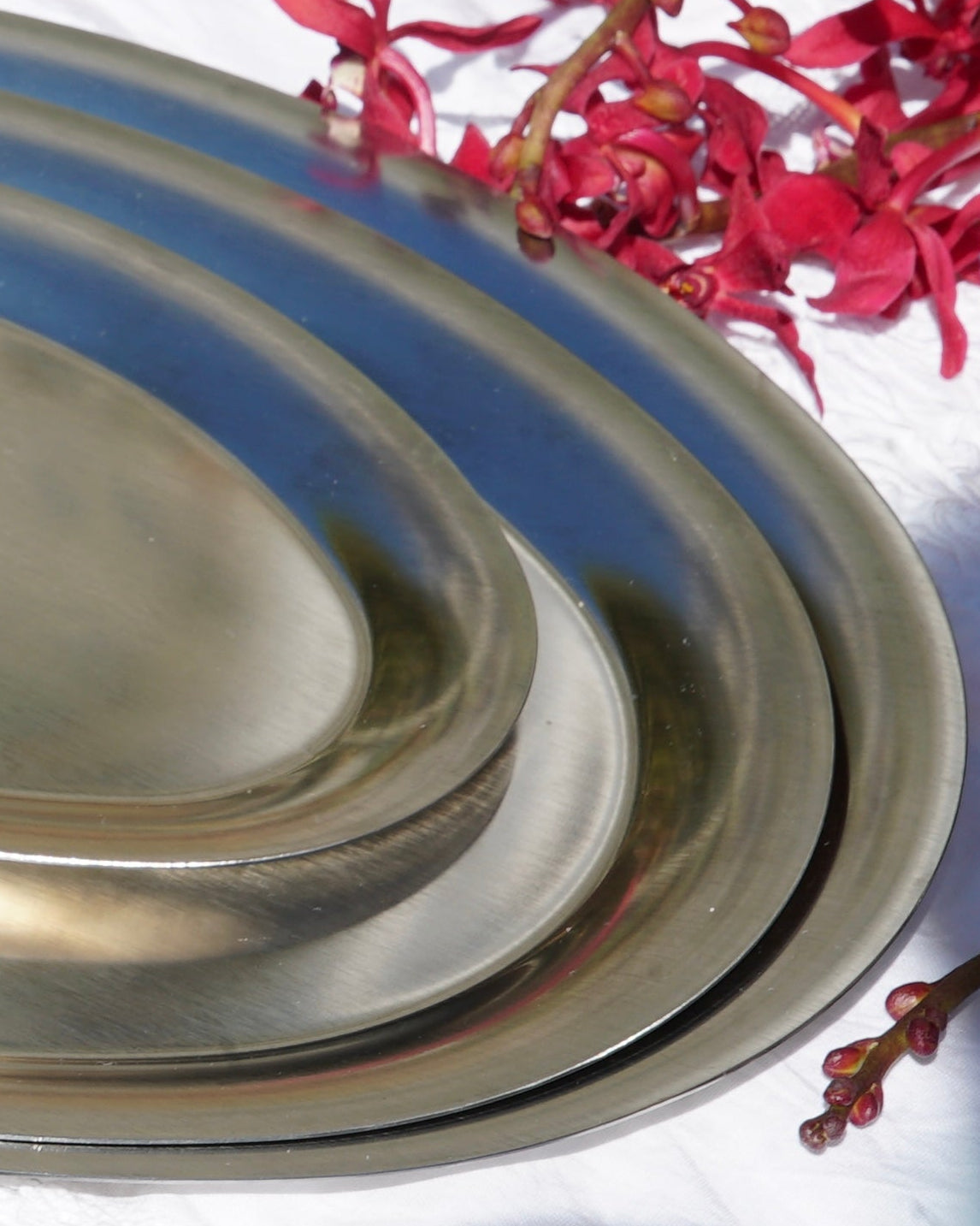 Diana Dish